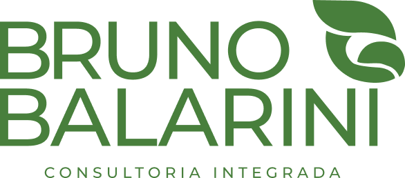 Bruno Balarini Consultoria